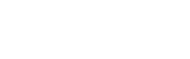 Placer Title Company Logo White
